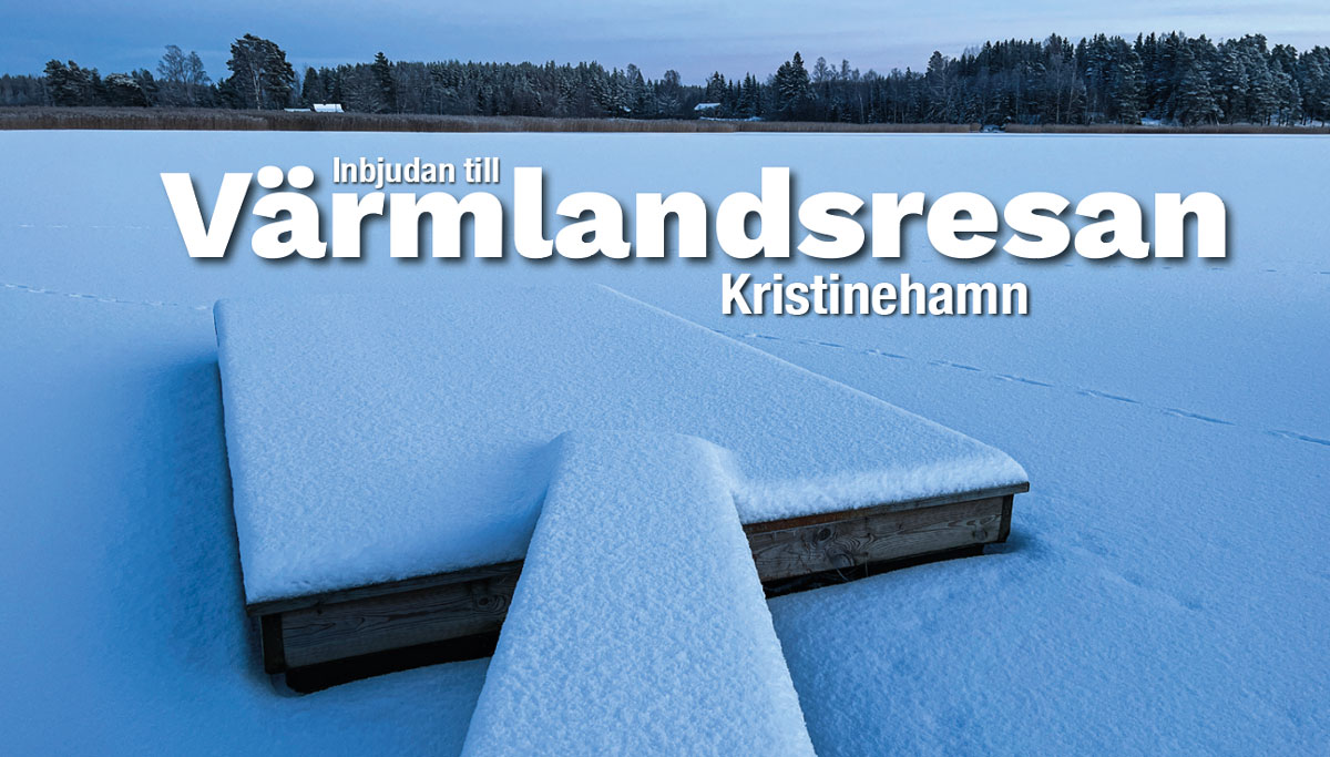 Test för Mild-webb Kopia av - Leverantör till försvarssektorn?